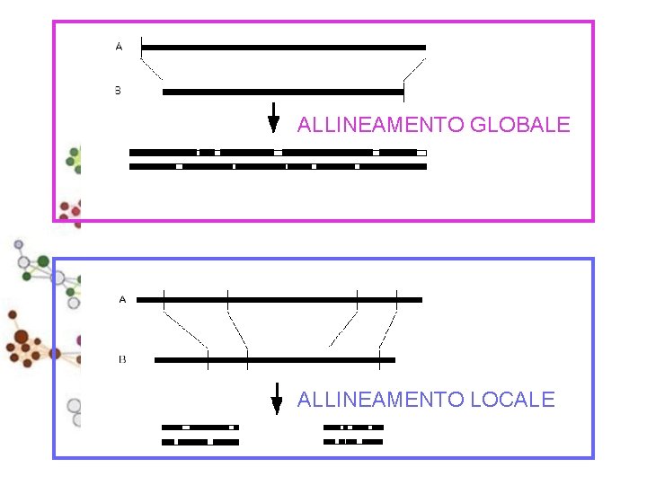 ALLINEAMENTO GLOBALE ALLINEAMENTO LOCALE 