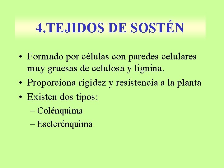 4. TEJIDOS DE SOSTÉN • Formado por células con paredes celulares muy gruesas de