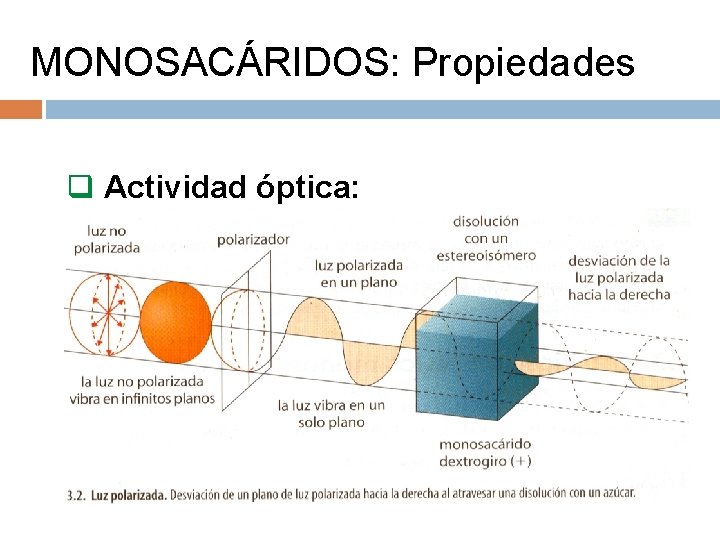 MONOSACÁRIDOS: Propiedades q Actividad óptica: 