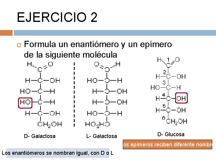 EJERCICIO 2 Formula un enantiómero y un epímero de la siguiente molécula D- Galactosa
