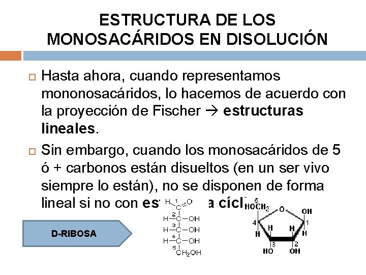 ESTRUCTURA DE LOS MONOSACÁRIDOS EN DISOLUCIÓN Hasta ahora, cuando representamos mononosacáridos, lo hacemos de