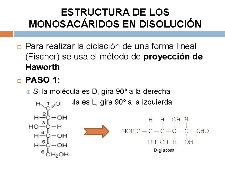 ESTRUCTURA DE LOS MONOSACÁRIDOS EN DISOLUCIÓN Para realizar la ciclación de una forma lineal