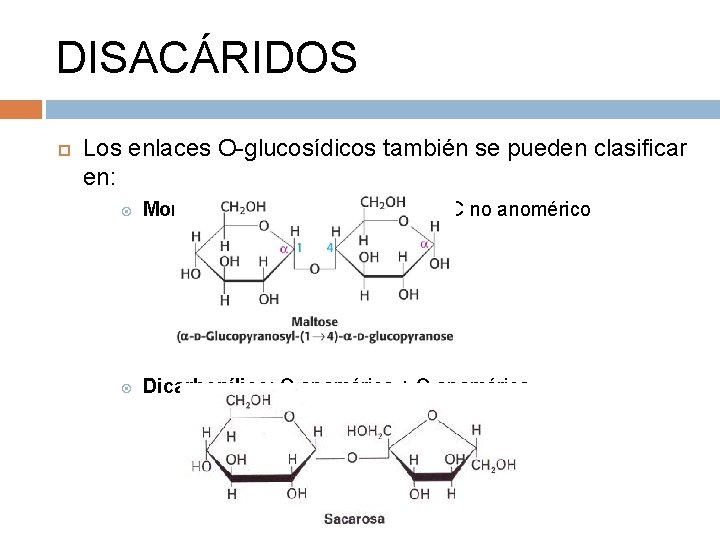 DISACÁRIDOS Los enlaces O-glucosídicos también se pueden clasificar en: Monocarbonílico: C anomérico + C