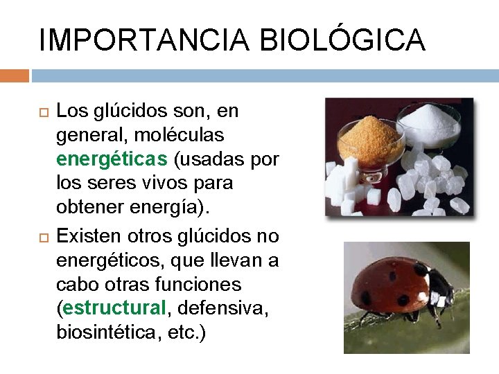 IMPORTANCIA BIOLÓGICA Los glúcidos son, en general, moléculas energéticas (usadas por los seres vivos