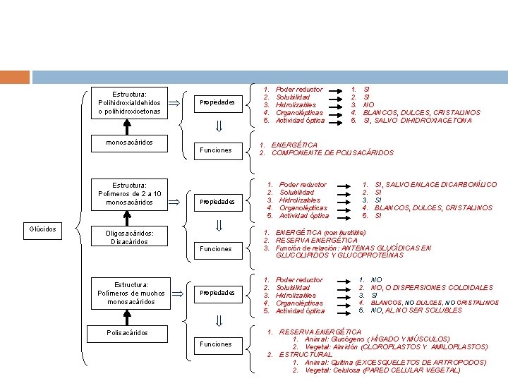 Estructura: Polihidroxialdehidos o polihidroxicetonas Propiedades monosacáridos Funciones Estructura: Polímeros de 2 a 10 monosacáridos