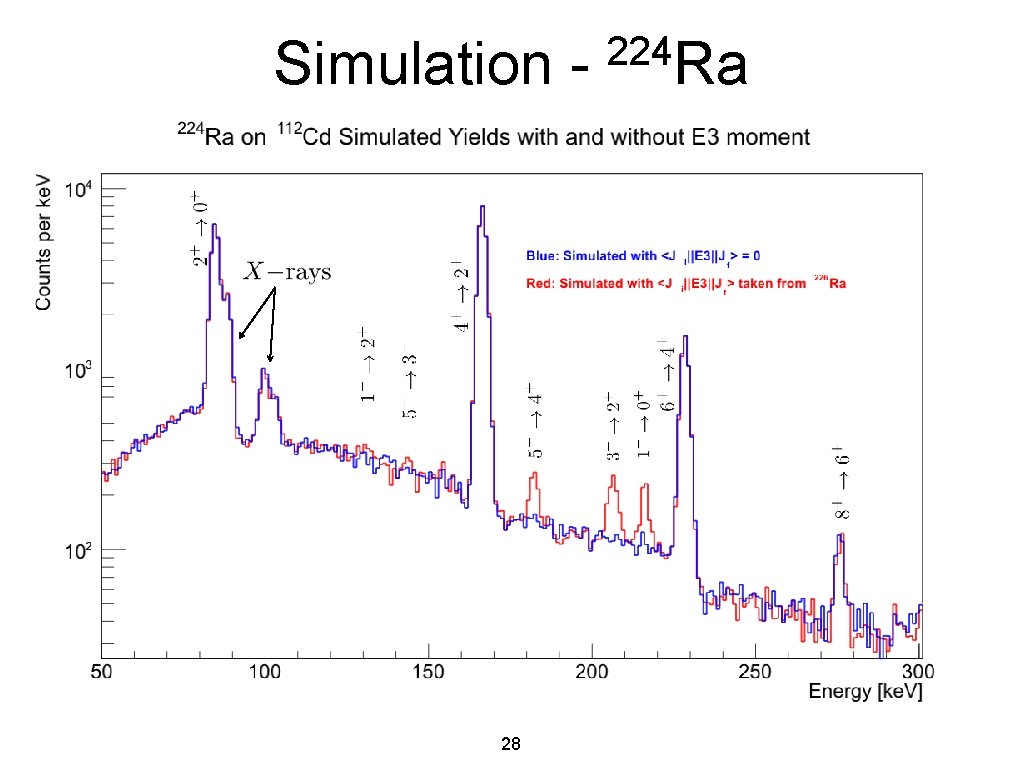 Simulation - 28 224 Ra 