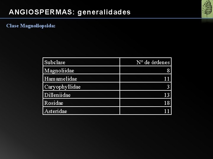 ANGIOSPERMAS: generalidades Clase Magnoliopsida: Subclase Magnoliidae Hamamelidae Caryophyllidae Dilleniidae Rosidae Asteridae Nº de órdenes