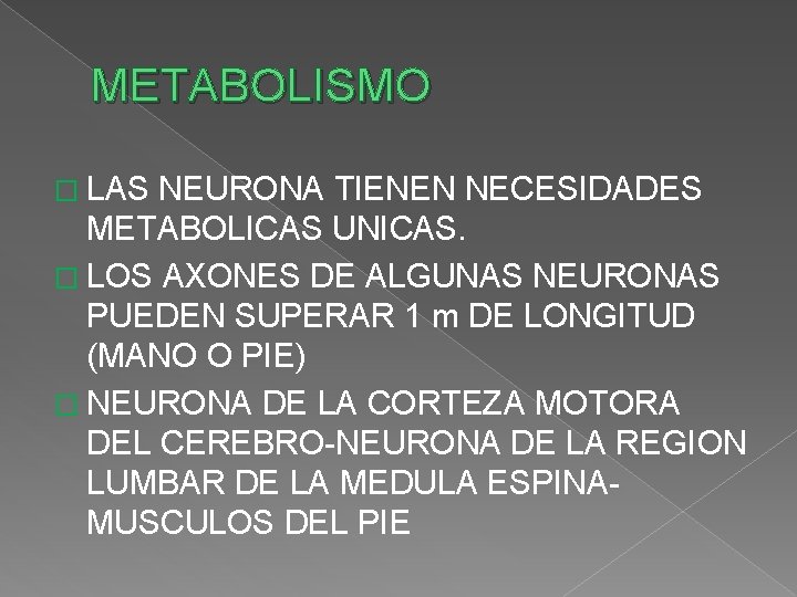 METABOLISMO � LAS NEURONA TIENEN NECESIDADES METABOLICAS UNICAS. � LOS AXONES DE ALGUNAS NEURONAS