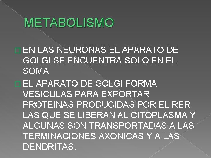 METABOLISMO � EN LAS NEURONAS EL APARATO DE GOLGI SE ENCUENTRA SOLO EN EL