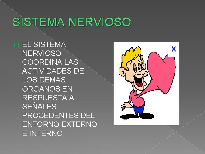 SISTEMA NERVIOSO � EL SISTEMA NERVIOSO COORDINA LAS ACTIVIDADES DE LOS DEMAS ORGANOS EN