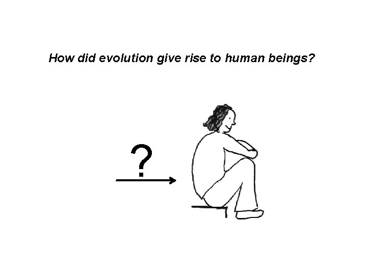 How did evolution give rise to human beings? ? 