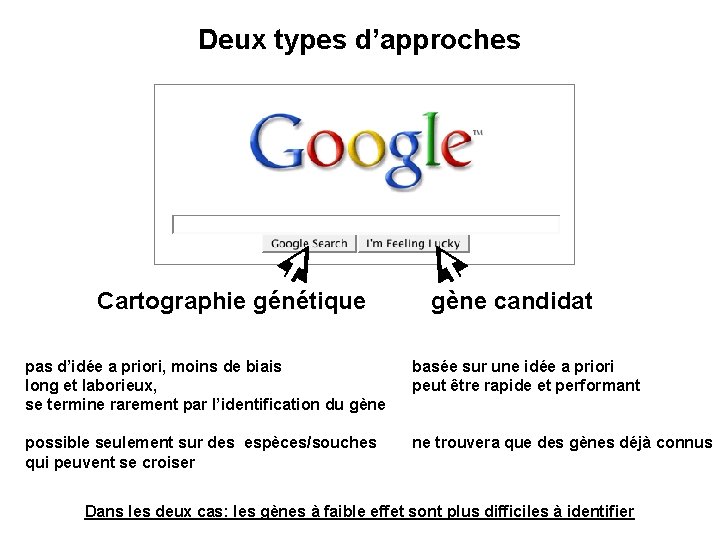 Deux types d’approches Cartographie génétique gène candidat pas d’idée a priori, moins de biais