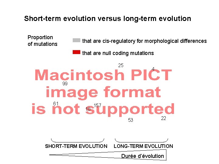 Short-term evolution versus long-term evolution Proportion of mutations that are cis-regulatory for morphological differences