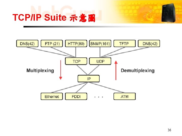 TCP/IP Suite 示意圖 36 