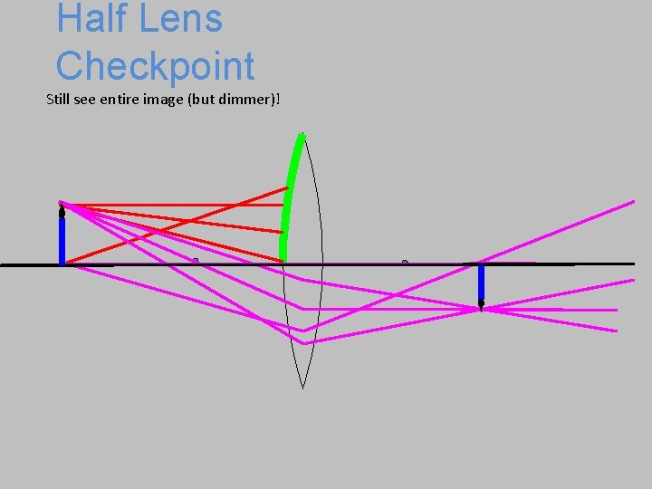 Half Lens Checkpoint Still see entire image (but dimmer)! 