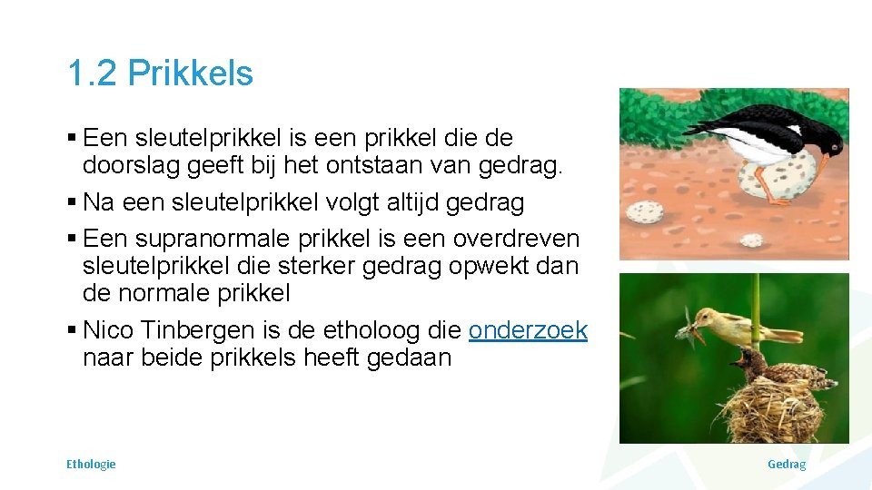 1. 2 Prikkels § Een sleutelprikkel is een prikkel die de doorslag geeft bij