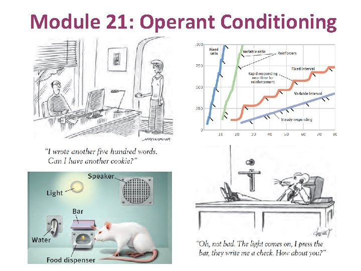 Module 21: Operant Conditioning 