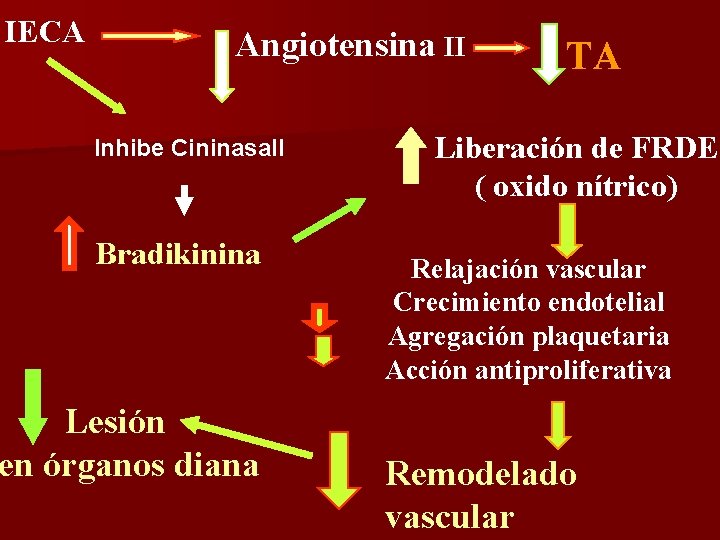 IECA Angiotensina II Inhibe Cininasa. II Bradikinina Lesión en órganos diana TA Liberación de