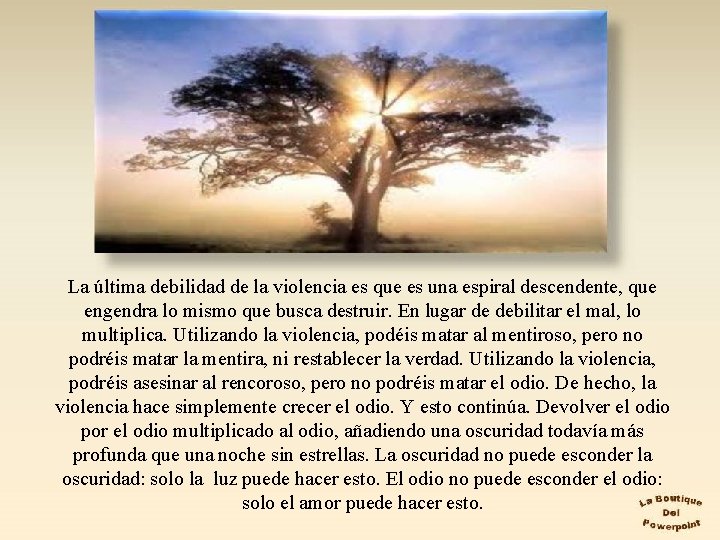 La última debilidad de la violencia es que es una espiral descendente, que engendra