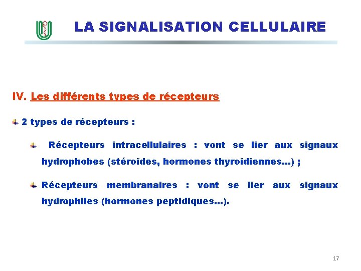 LA SIGNALISATION CELLULAIRE IV. Les différents types de récepteurs 2 types de récepteurs :