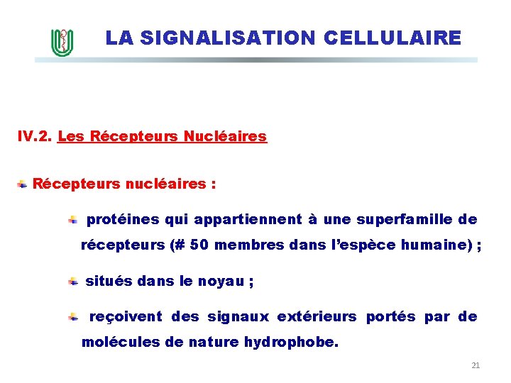 LA SIGNALISATION CELLULAIRE IV. 2. Les Récepteurs Nucléaires Récepteurs nucléaires : protéines qui appartiennent
