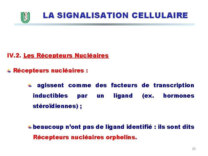 LA SIGNALISATION CELLULAIRE IV. 2. Les Récepteurs Nucléaires Récepteurs nucléaires : agissent comme des