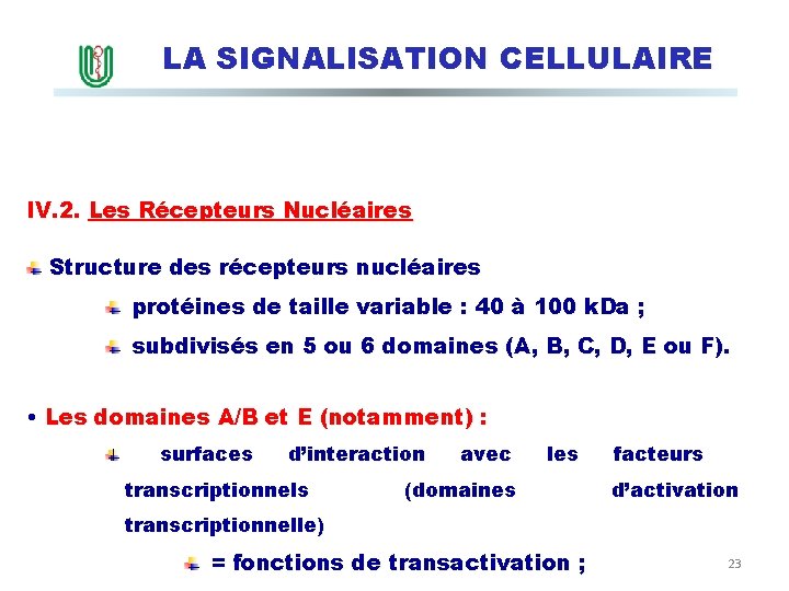 LA SIGNALISATION CELLULAIRE IV. 2. Les Récepteurs Nucléaires Structure des récepteurs nucléaires protéines de