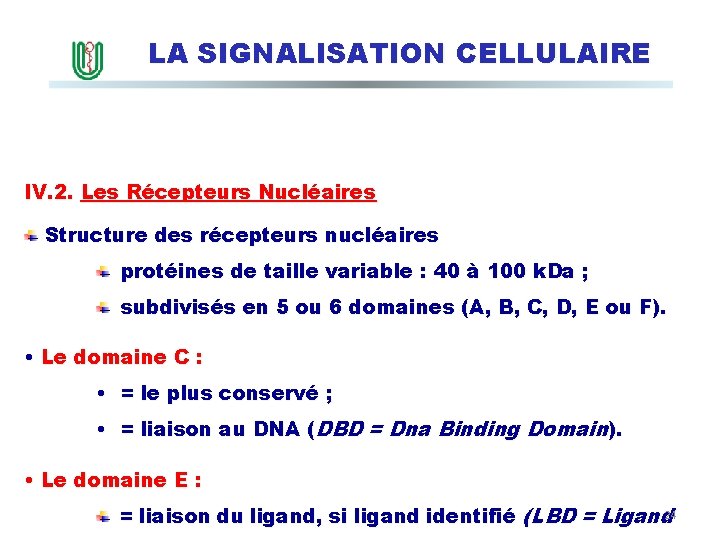 LA SIGNALISATION CELLULAIRE IV. 2. Les Récepteurs Nucléaires Structure des récepteurs nucléaires protéines de