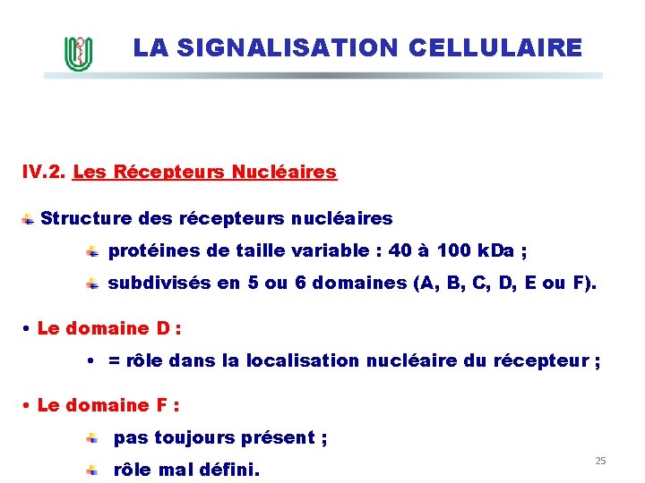 LA SIGNALISATION CELLULAIRE IV. 2. Les Récepteurs Nucléaires Structure des récepteurs nucléaires protéines de