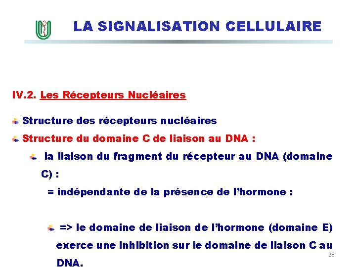LA SIGNALISATION CELLULAIRE IV. 2. Les Récepteurs Nucléaires Structure des récepteurs nucléaires Structure du