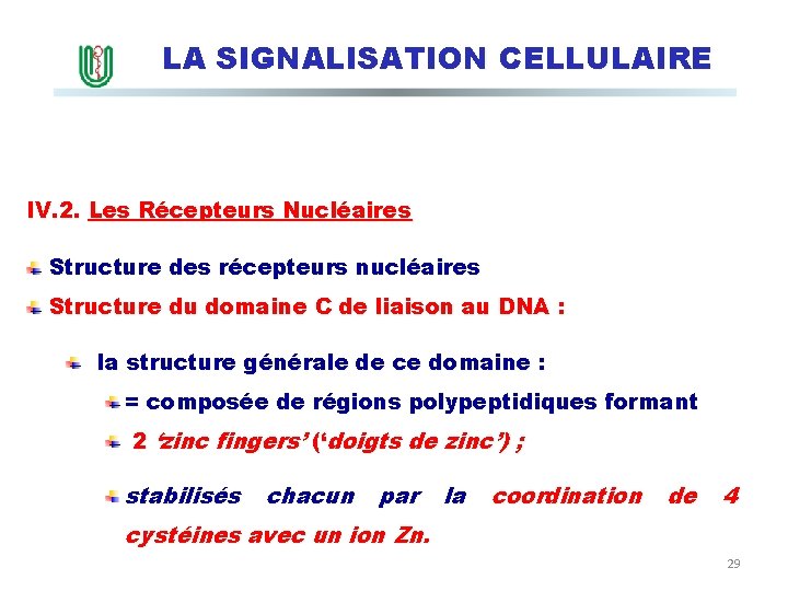 LA SIGNALISATION CELLULAIRE IV. 2. Les Récepteurs Nucléaires Structure des récepteurs nucléaires Structure du