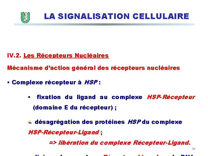 LA SIGNALISATION CELLULAIRE IV. 2. Les Récepteurs Nucléaires Mécanisme d’action général des récepteurs nucléaires