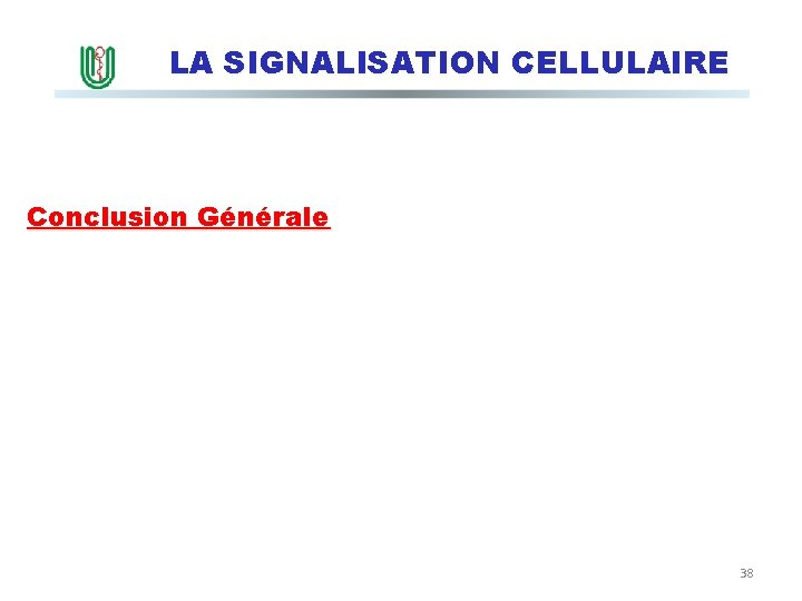 LA SIGNALISATION CELLULAIRE Conclusion Générale 38 