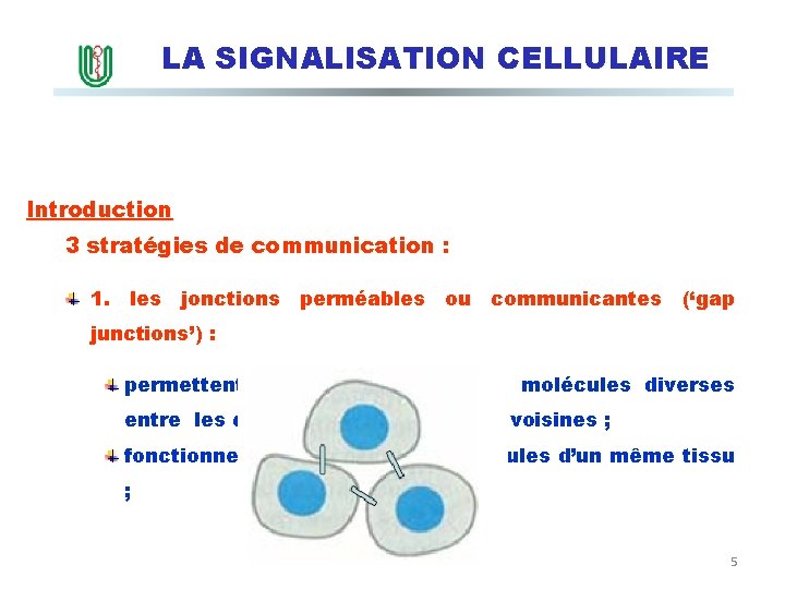 LA SIGNALISATION CELLULAIRE Introduction 3 stratégies de communication : 1. les jonctions perméables ou
