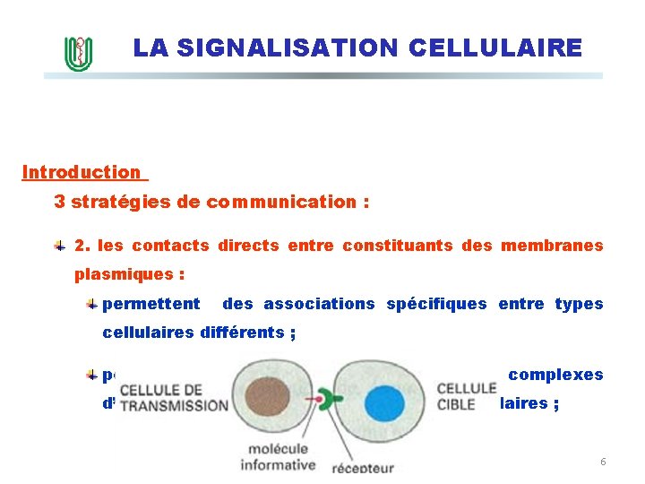 LA SIGNALISATION CELLULAIRE Introduction 3 stratégies de communication : 2. les contacts directs entre