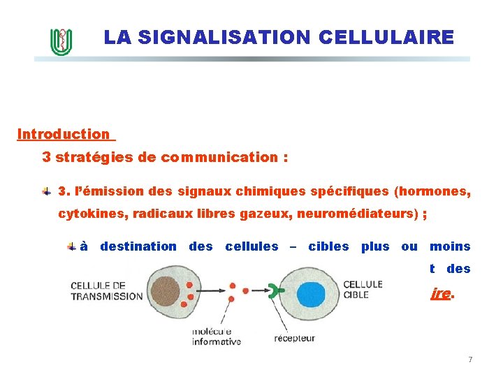 LA SIGNALISATION CELLULAIRE Introduction 3 stratégies de communication : 3. l’émission des signaux chimiques