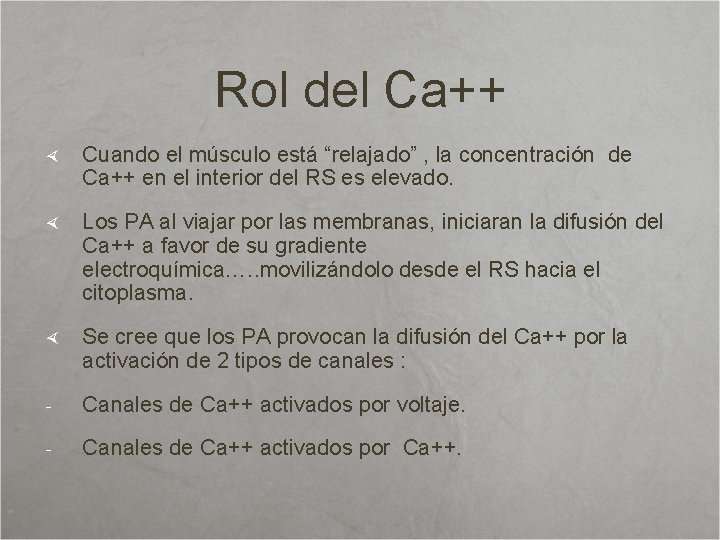 Rol del Ca++ Cuando el músculo está “relajado” , la concentración de Ca++ en