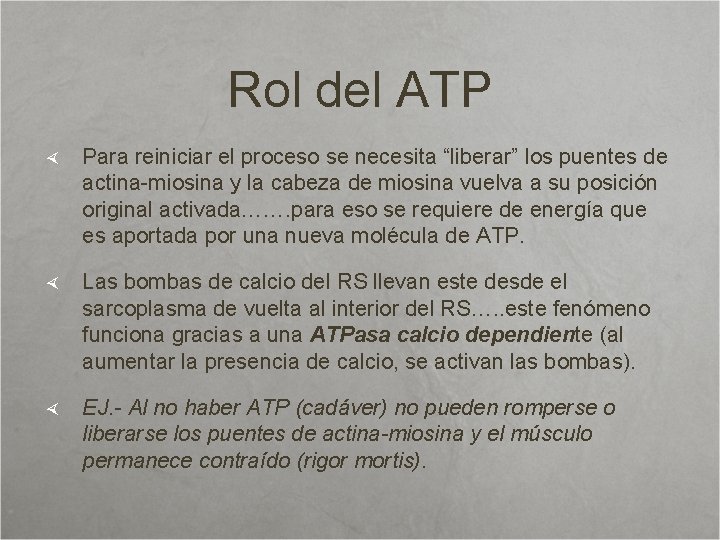 Rol del ATP Para reiniciar el proceso se necesita “liberar” los puentes de actina-miosina