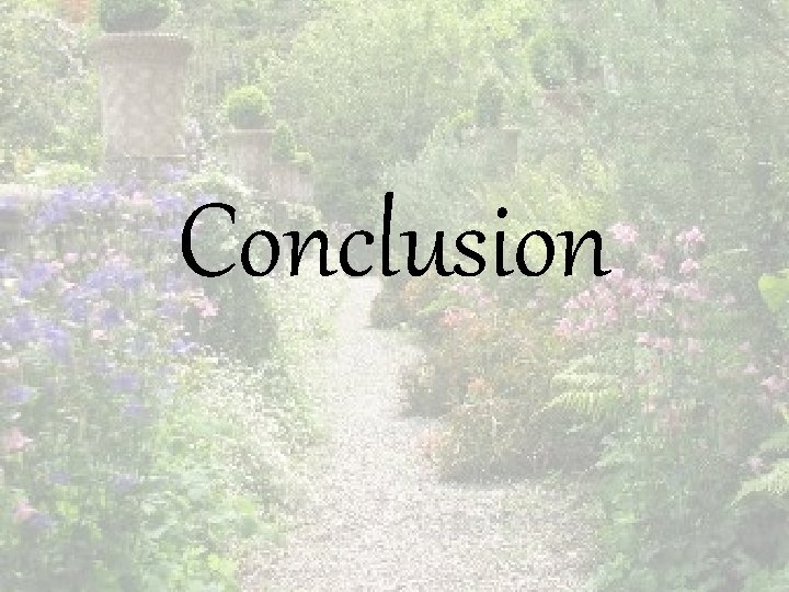 Conclusion 