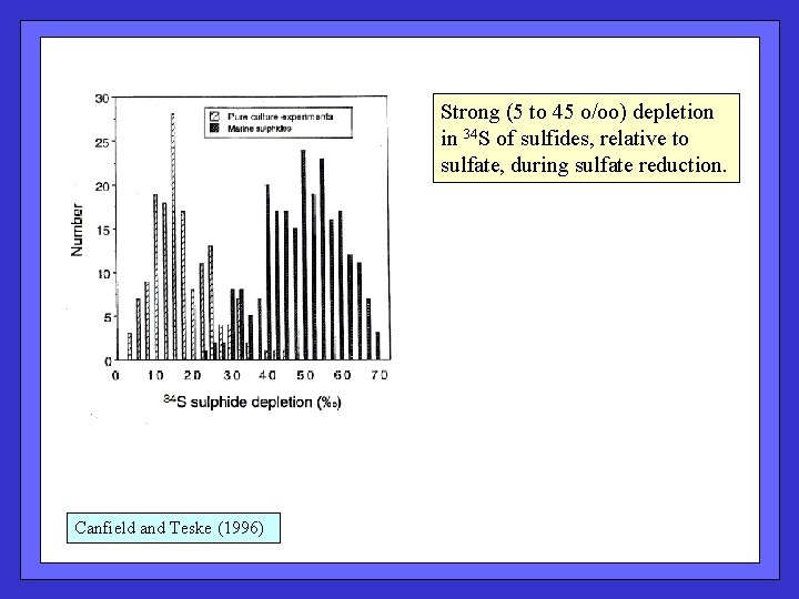 Strong (5 to 45 o/oo) depletion in 34 S of sulfides, relative to sulfate,