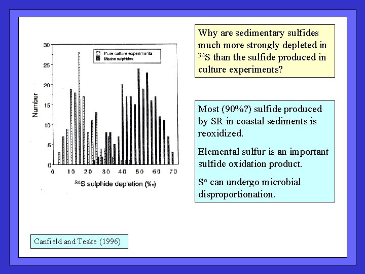 Why are sedimentary sulfides much more strongly depleted in 34 S than the sulfide