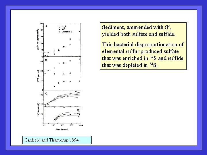 Sediment, ammended with So, yielded both sulfate and sulfide. This bacterial disproportionation of elemental