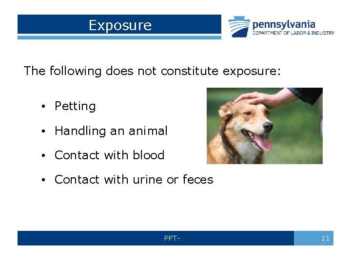 Exposure The following does not constitute exposure: • Petting • Handling an animal •