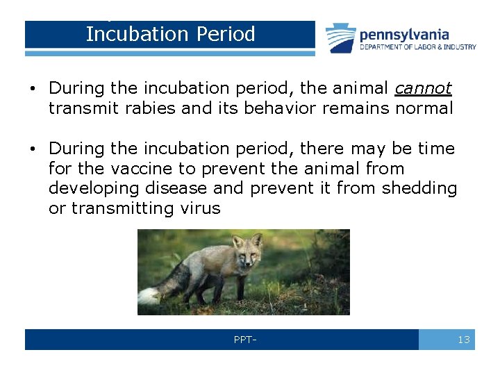 Step 1: Health Care Incubation Period • During the incubation period, the animal cannot