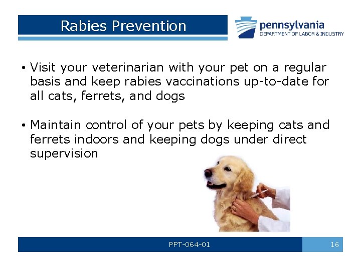 Rabies Prevention • Visit your veterinarian with your pet on a regular basis and
