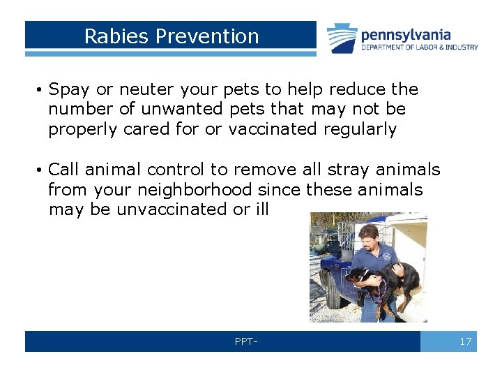 Rabies Prevention • Spay or neuter your pets to help reduce the number of