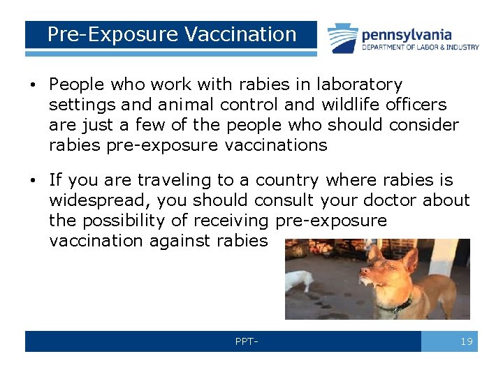 Pre-Exposure Vaccination • People who work with rabies in laboratory settings and animal control