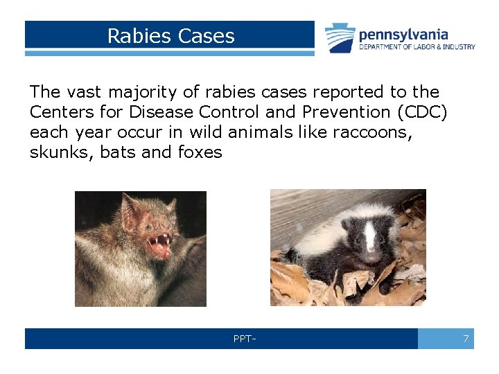 Rabies Cases The vast majority of rabies cases reported to the Centers for Disease