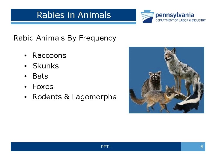 Rabies in Animals Rabid Animals By Frequency • • • Raccoons Skunks Bats Foxes