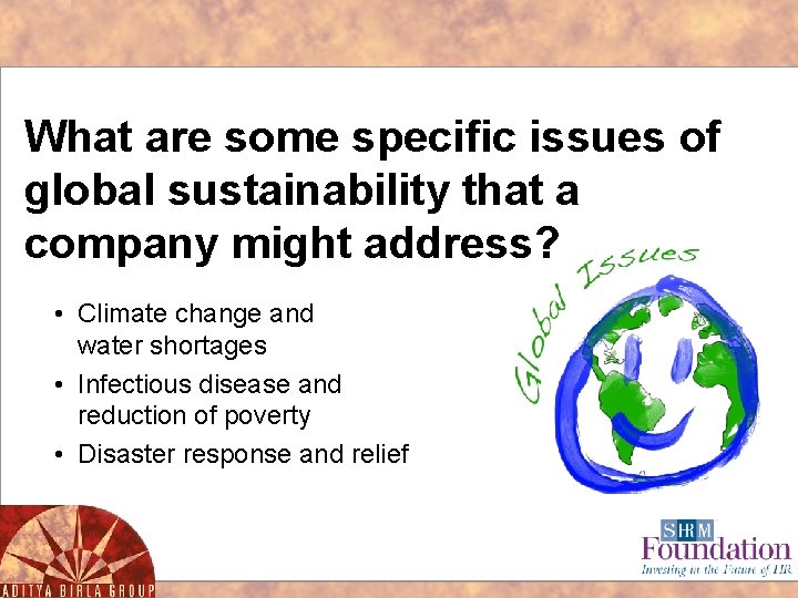 What are some specific issues of global sustainability that a company might address? •